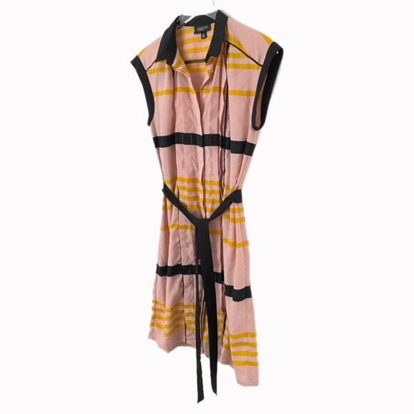 Jason Wu for Target Striped Sleeveless Collared Pleated Shift Mini Dress Sz S - Picture 3 of 6